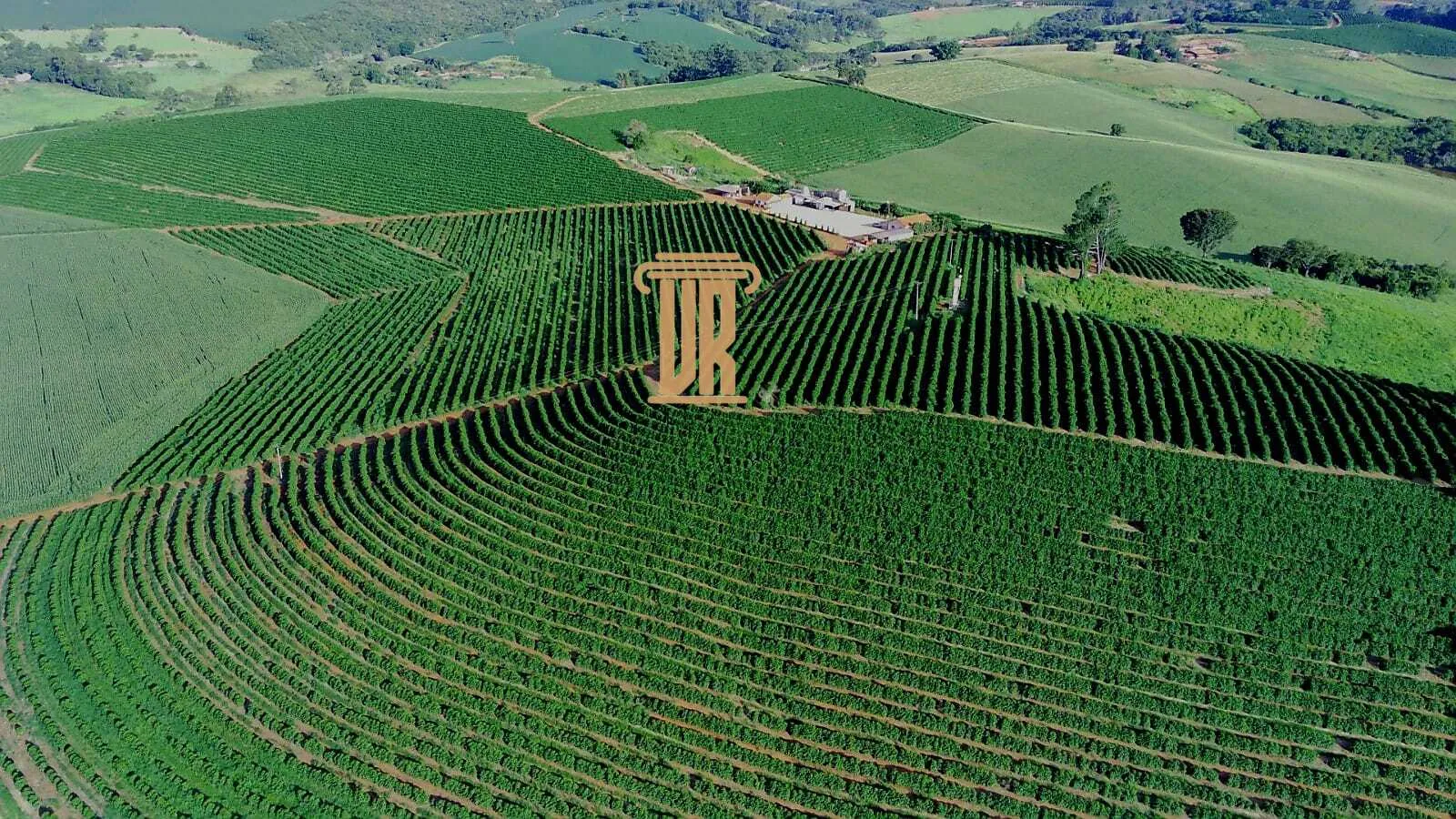 FAZENDA DE CAF&Eacute; DE ALTO PADR&Atilde;O EM MACHADO- MG  Machado - 
