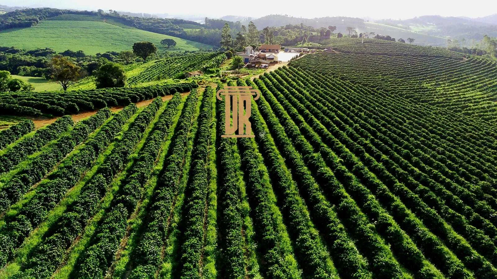 FAZENDA DE CAF&Eacute; DE ALTO PADR&Atilde;O EM MACHADO- MG  Machado - 