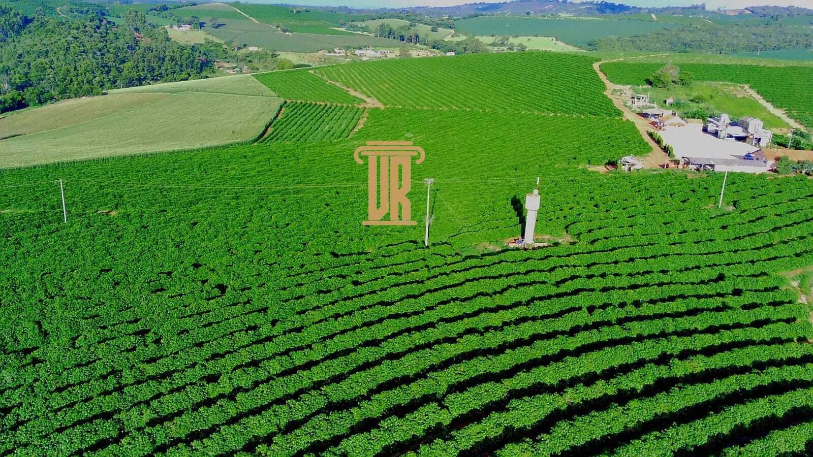 FAZENDA DE CAF&Eacute; DE ALTO PADR&Atilde;O EM MACHADO- MG  Machado - 