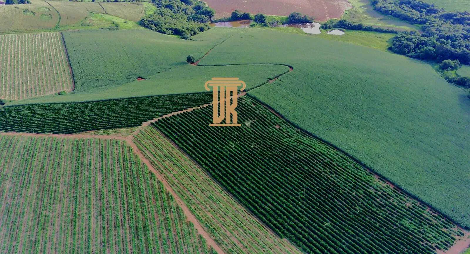 FAZENDA DE CAF&Eacute; DE ALTO PADR&Atilde;O EM MACHADO- MG  Machado - 