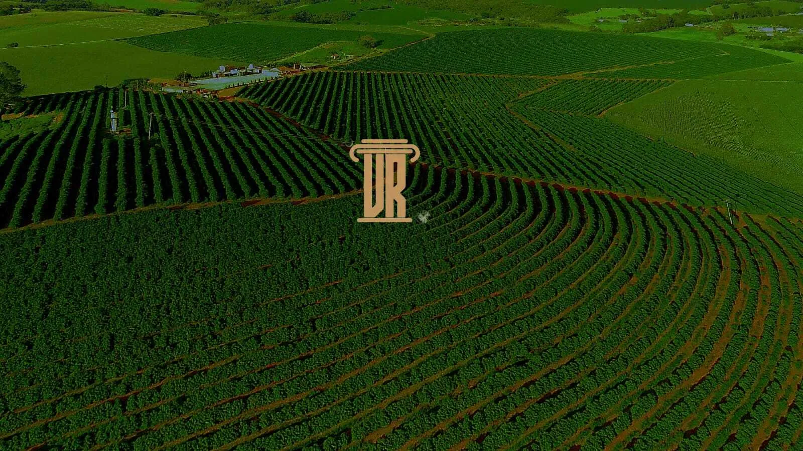 FAZENDA DE CAF&Eacute; DE ALTO PADR&Atilde;O EM MACHADO- MG  Machado - 