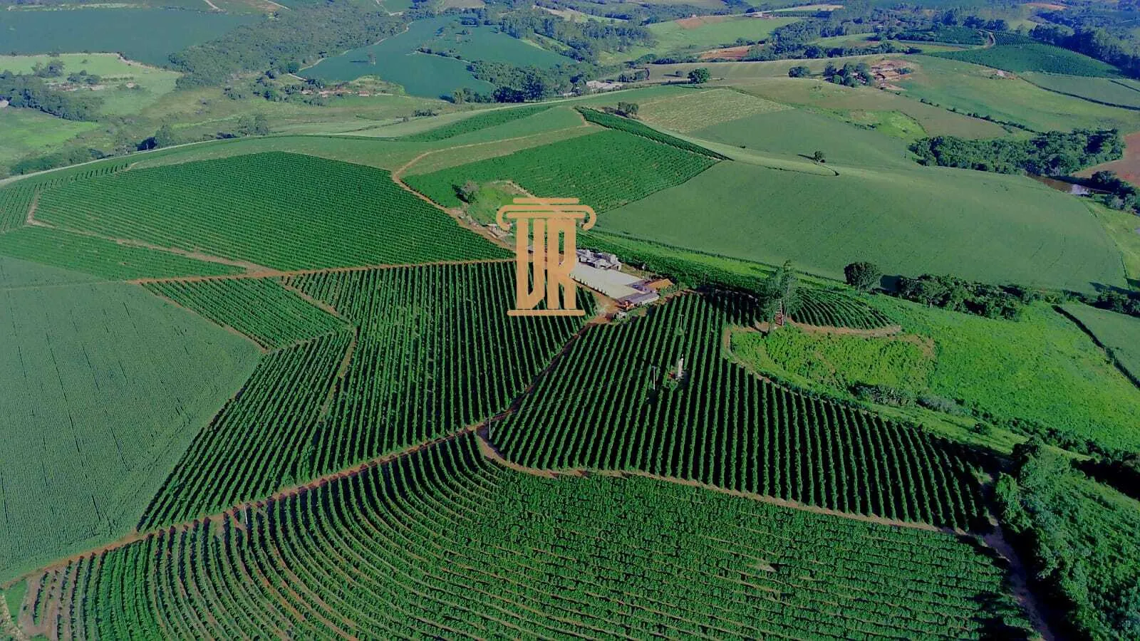 FAZENDA DE CAF&Eacute; DE ALTO PADR&Atilde;O EM MACHADO- MG  Machado - 