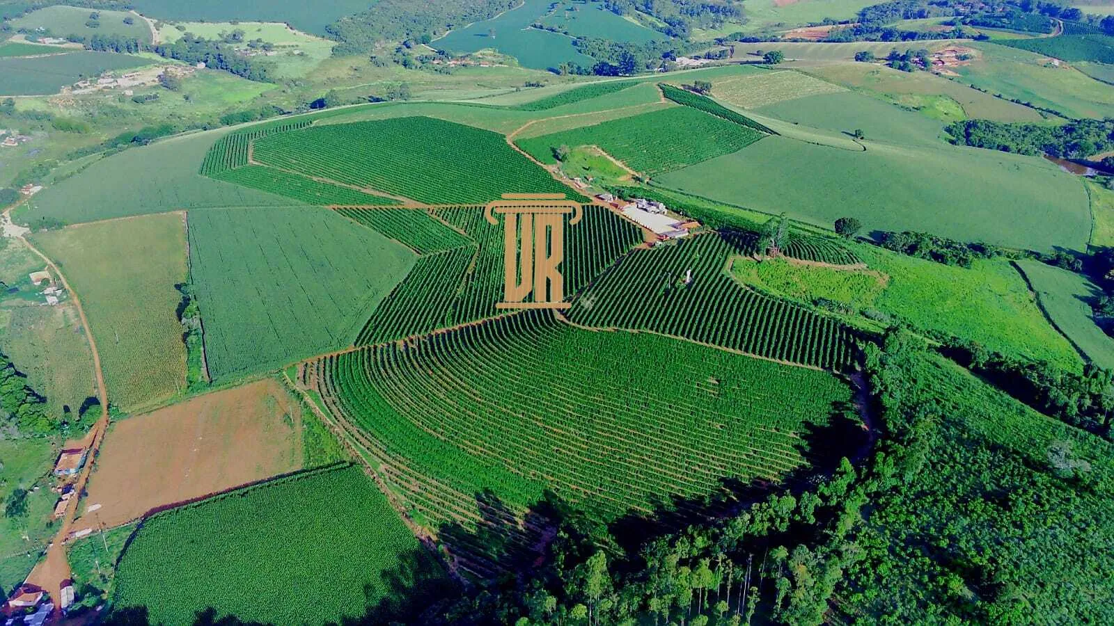 FAZENDA DE CAF&Eacute; DE ALTO PADR&Atilde;O EM MACHADO- MG  Machado - 