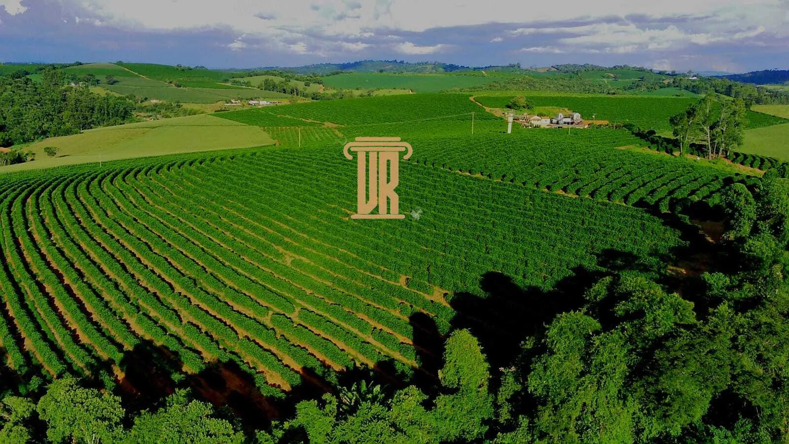 FAZENDA DE CAF&Eacute; DE ALTO PADR&Atilde;O EM MACHADO- MG  Machado - 