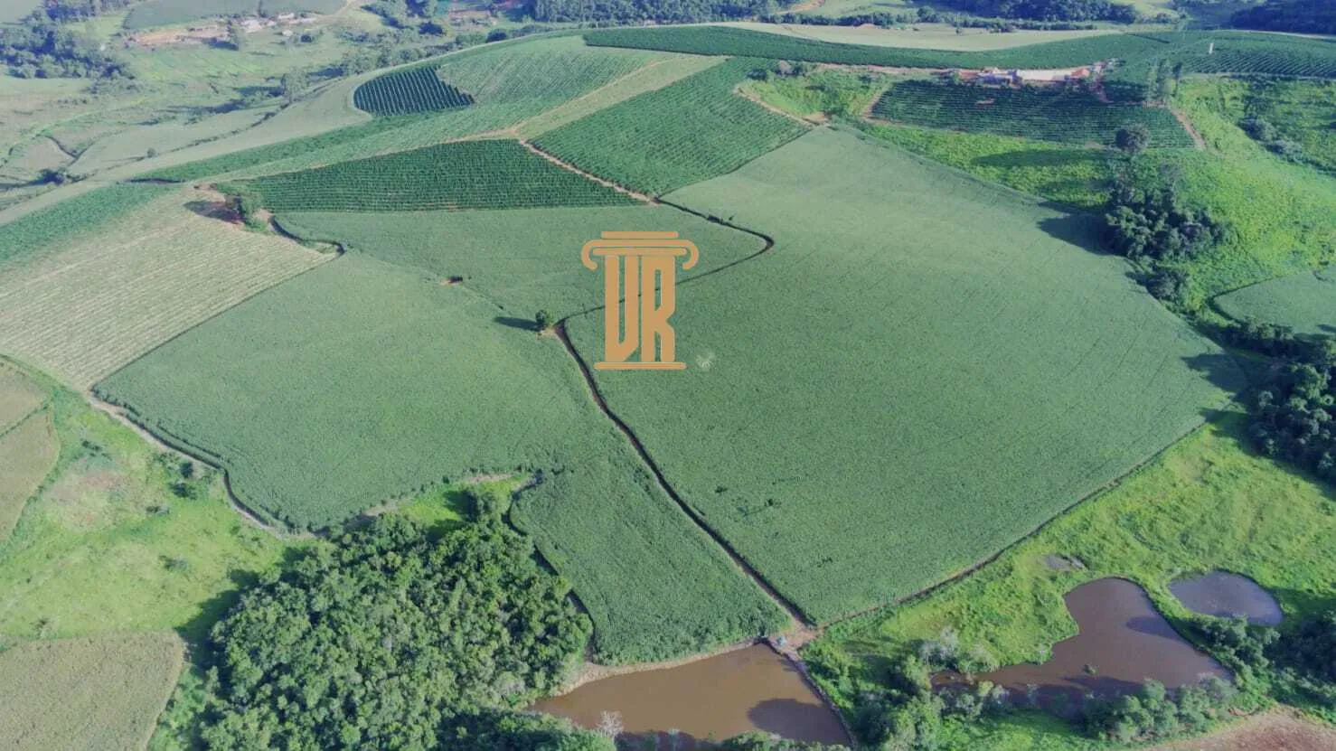 FAZENDA DE CAF&Eacute; DE ALTO PADR&Atilde;O EM MACHADO- MG  Machado - 