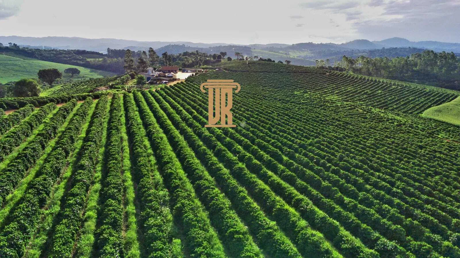 FAZENDA DE CAF&Eacute; DE ALTO PADR&Atilde;O EM MACHADO- MG  Machado - 