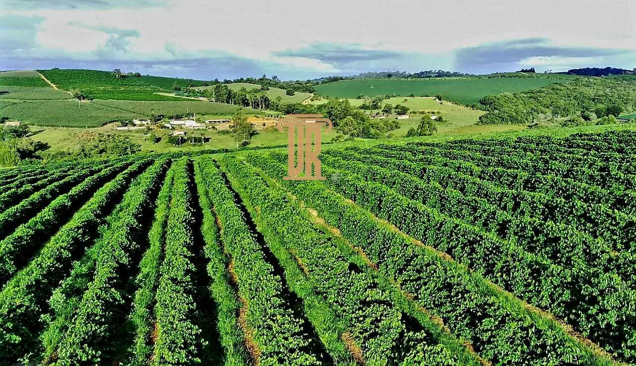 FAZENDA DE CAF&Eacute; DE ALTO PADR&Atilde;O EM MACHADO- MG  Machado - 