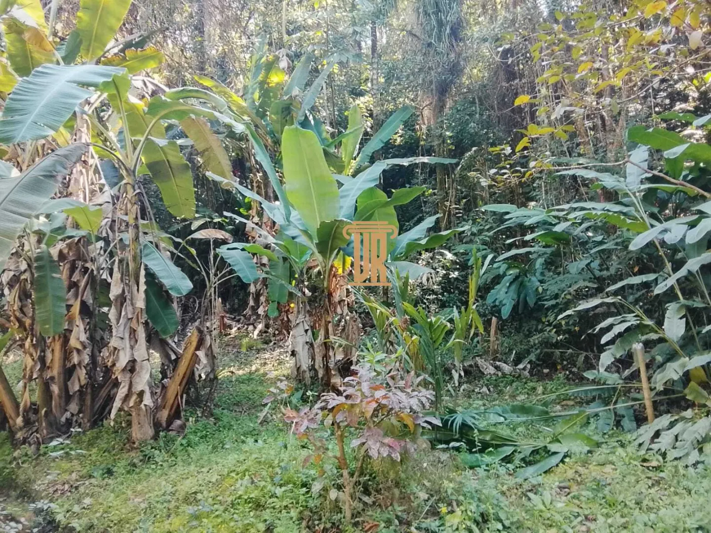 CH&Aacute;CARA COM 14.000 M&sup2; &Agrave; VENDA EM S&Atilde;O JOS&Eacute; DOS CAMPOS/SP  São José dos Campos - 