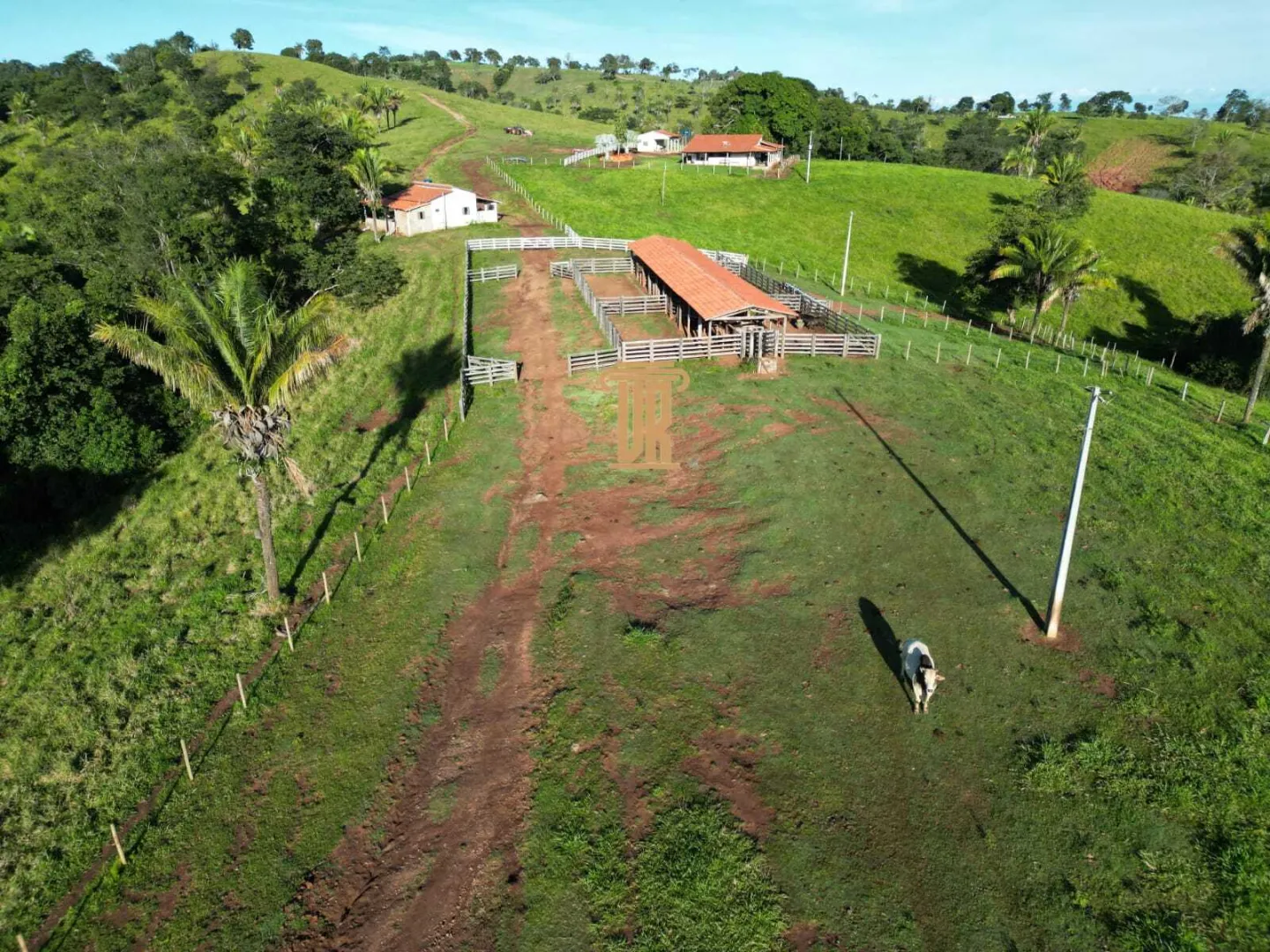 FAZENDA &Agrave; VENDA &ndash; 200 ALQUEIRES NO OESTE DE GOI&Aacute;S &Aacute;rea total de 200  São Luís de Montes Belos - 