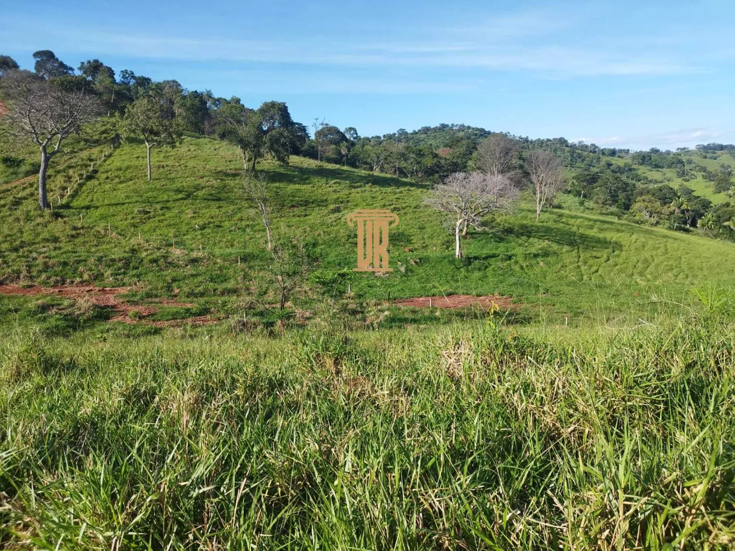FAZENDA &Agrave; VENDA &ndash; 200 ALQUEIRES NO OESTE DE GOI&Aacute;S &Aacute;rea total de 200  São Luís de Montes Belos - 