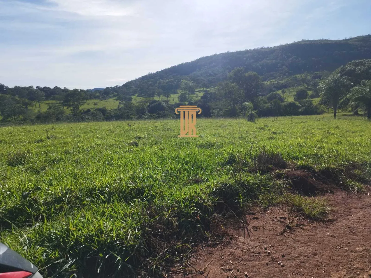 FAZENDA &Agrave; VENDA &ndash; 200 ALQUEIRES NO OESTE DE GOI&Aacute;S &Aacute;rea total de 200  São Luís de Montes Belos - 