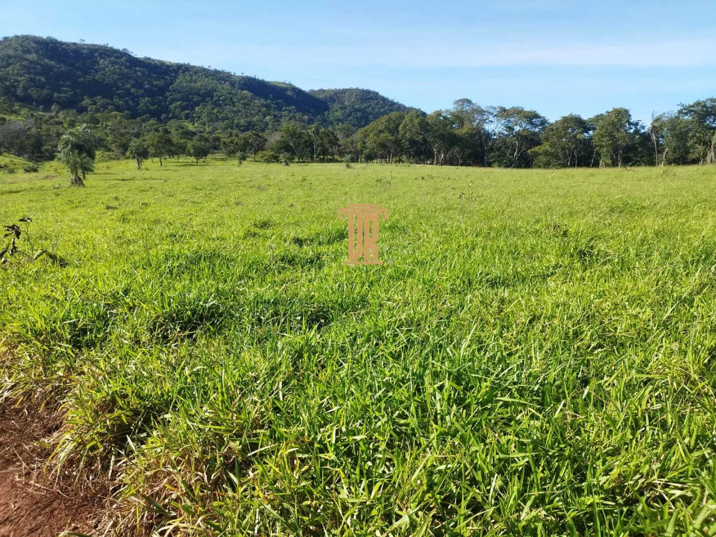 FAZENDA &Agrave; VENDA &ndash; 200 ALQUEIRES NO OESTE DE GOI&Aacute;S &Aacute;rea total de 200  São Luís de Montes Belos - 