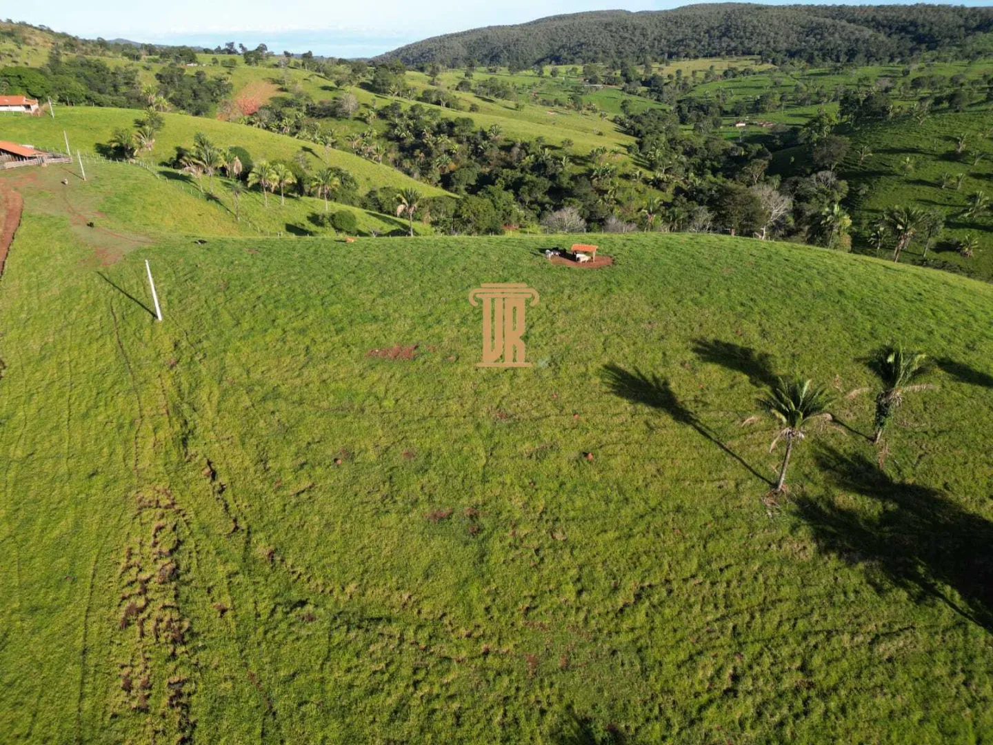 FAZENDA &Agrave; VENDA &ndash; 200 ALQUEIRES NO OESTE DE GOI&Aacute;S &Aacute;rea total de 200  São Luís de Montes Belos - 