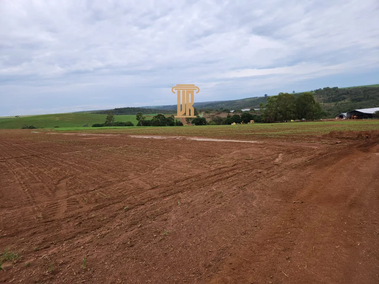 FAZENDA IRRIGADA &Agrave; VENDA EM CRISTALINA/GO &ndash; 427 HECTARES  Cristalina - 