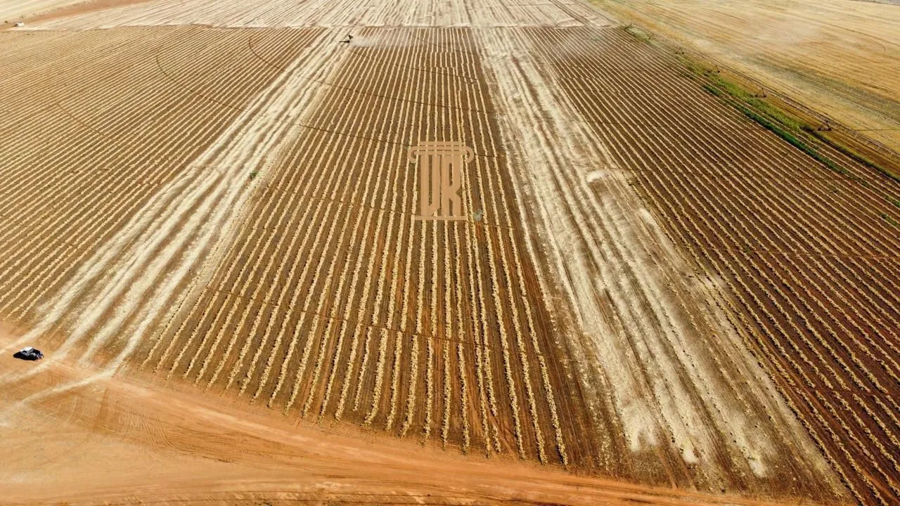 FAZENDA IRRIGADA &Agrave; VENDA EM CRISTALINA/GO &ndash; 427 HECTARES  Cristalina - 