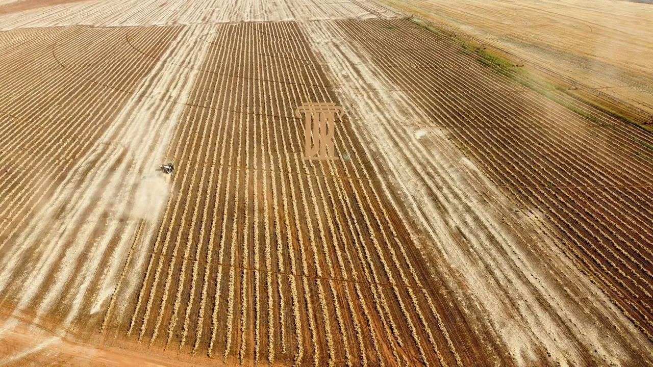 FAZENDA IRRIGADA &Agrave; VENDA EM CRISTALINA/GO &ndash; 427 HECTARES  Cristalina - 