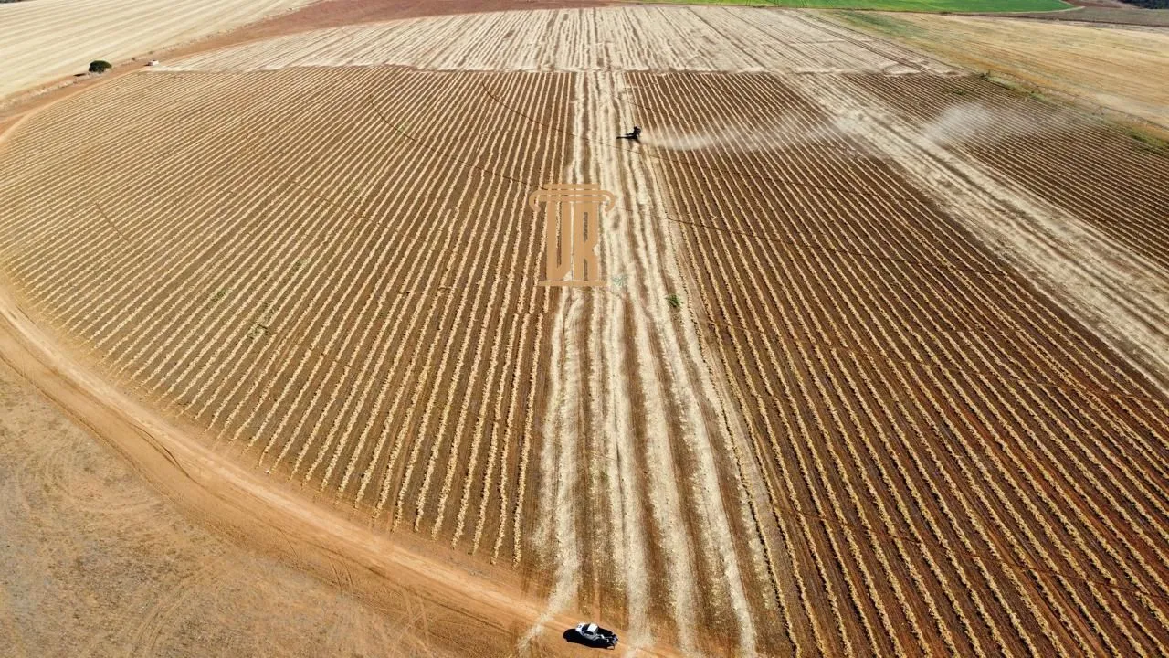 FAZENDA IRRIGADA &Agrave; VENDA EM CRISTALINA/GO &ndash; 427 HECTARES  Cristalina - 
