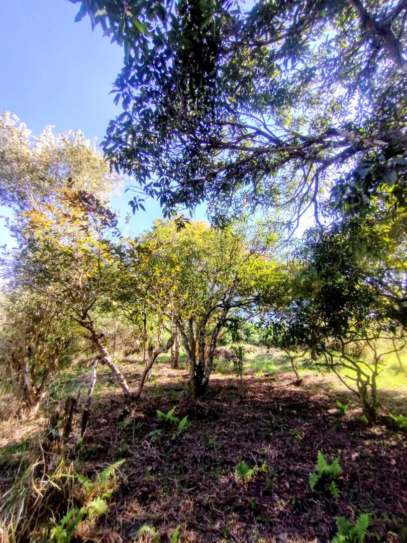 Terreno &agrave; venda no Parque Alpina  Igaratá - 