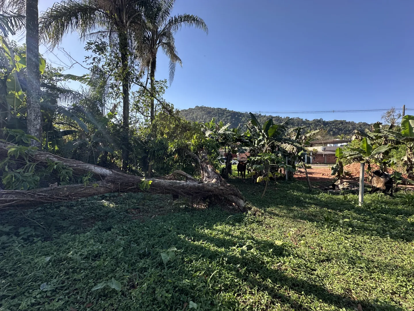 360 m&sup2; de Oportunidade para Voc&ecirc; Construir o Futuro! Rua Francisco Buarque Guapimirim - 