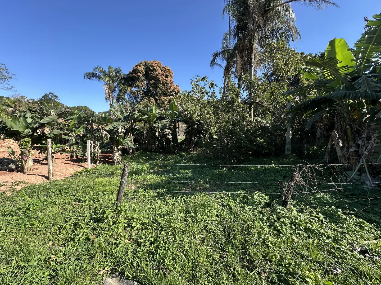 360 m&sup2; de Oportunidade para Voc&ecirc; Construir o Futuro! Rua Francisco Buarque Guapimirim - 