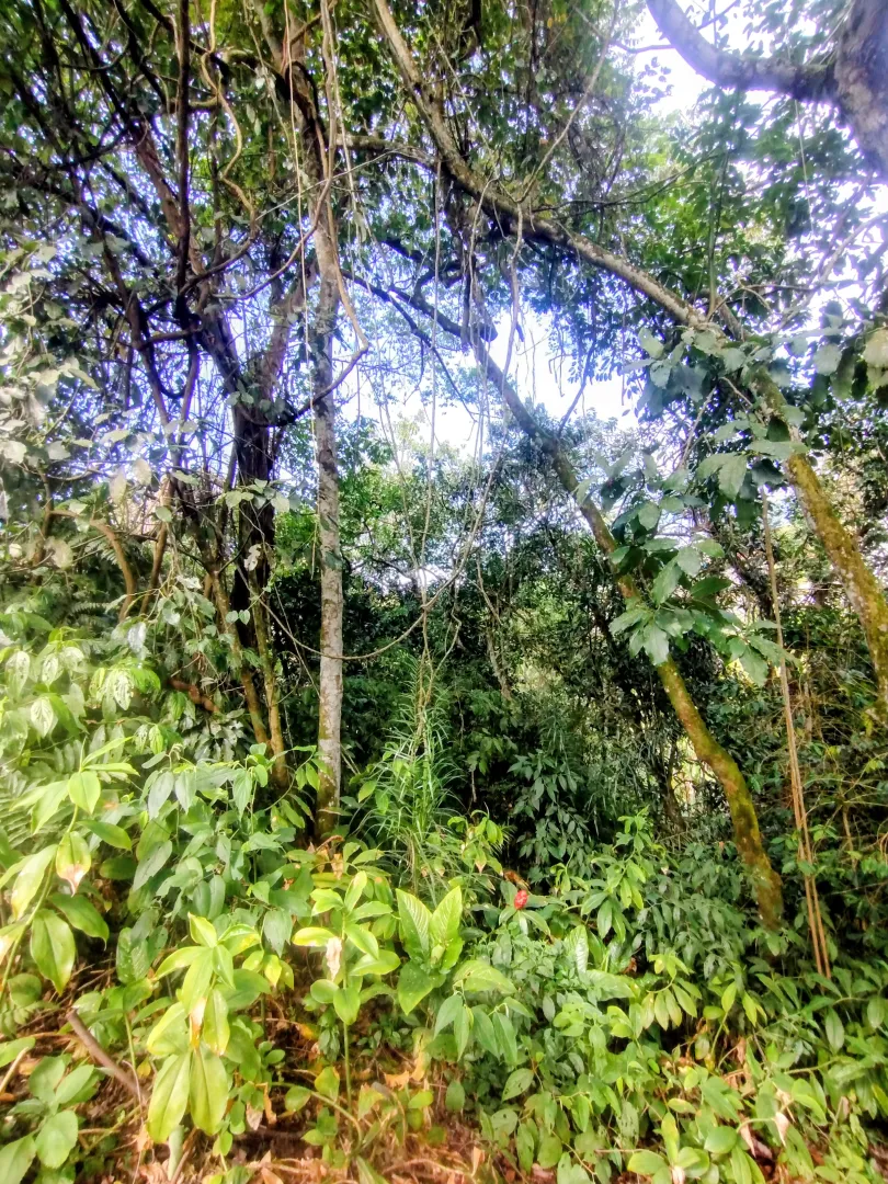 Terreno &agrave; venda no Jardim Rosa Helena  Igaratá - 