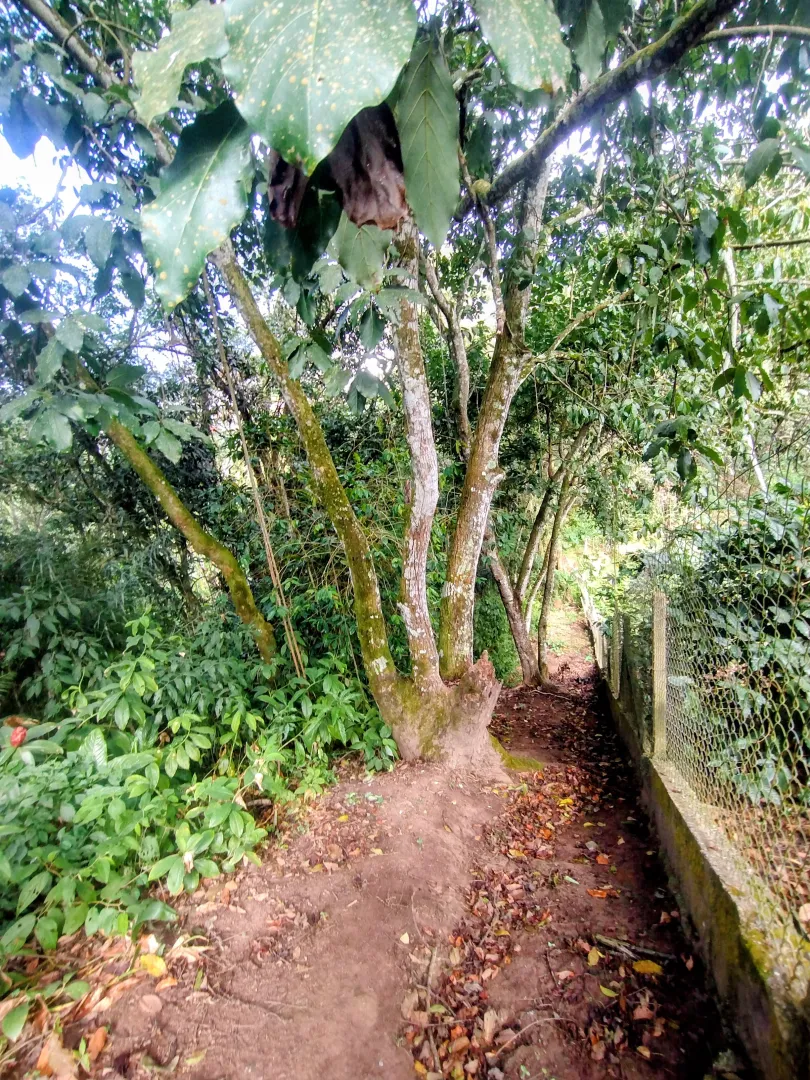 Terreno &agrave; venda no Jardim Rosa Helena  Igaratá - 