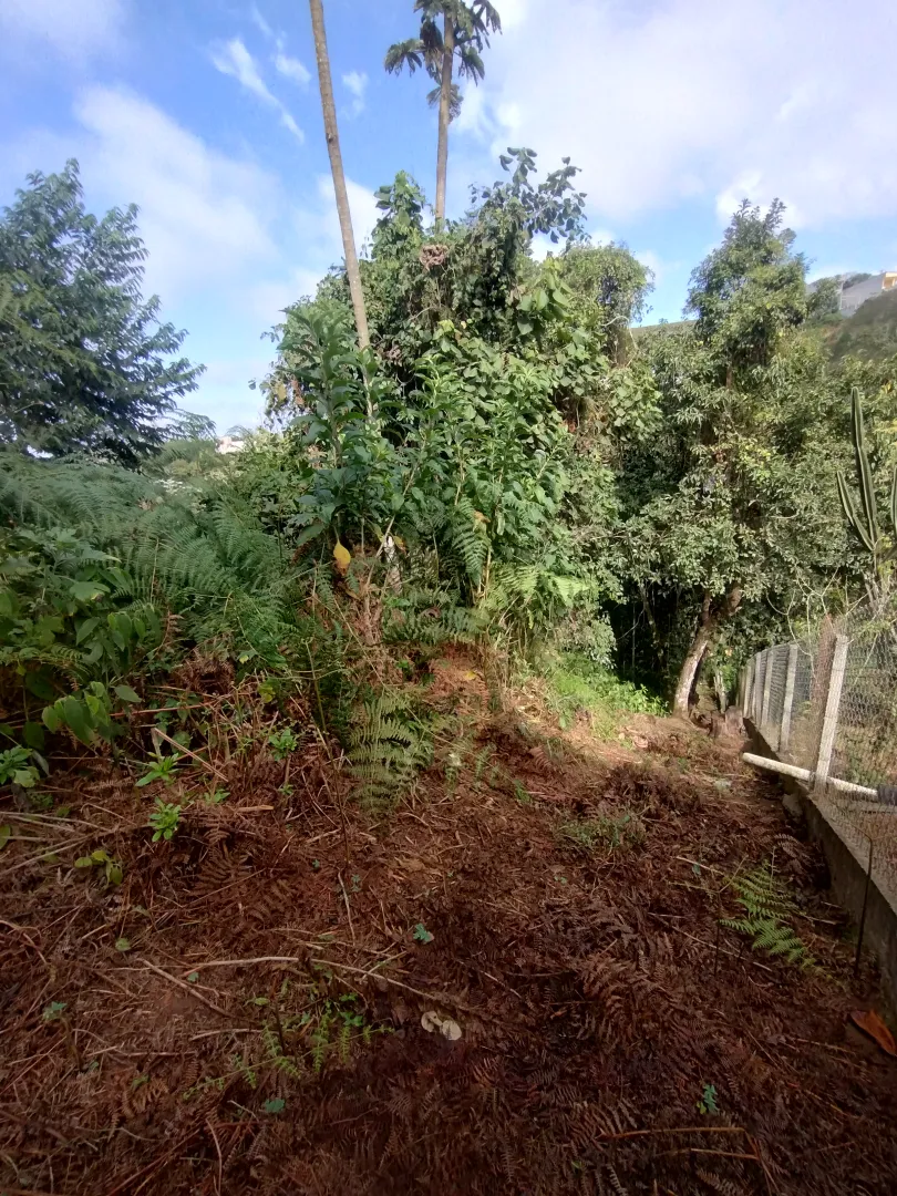 Terreno &agrave; venda no Jardim Rosa Helena  Igaratá - 