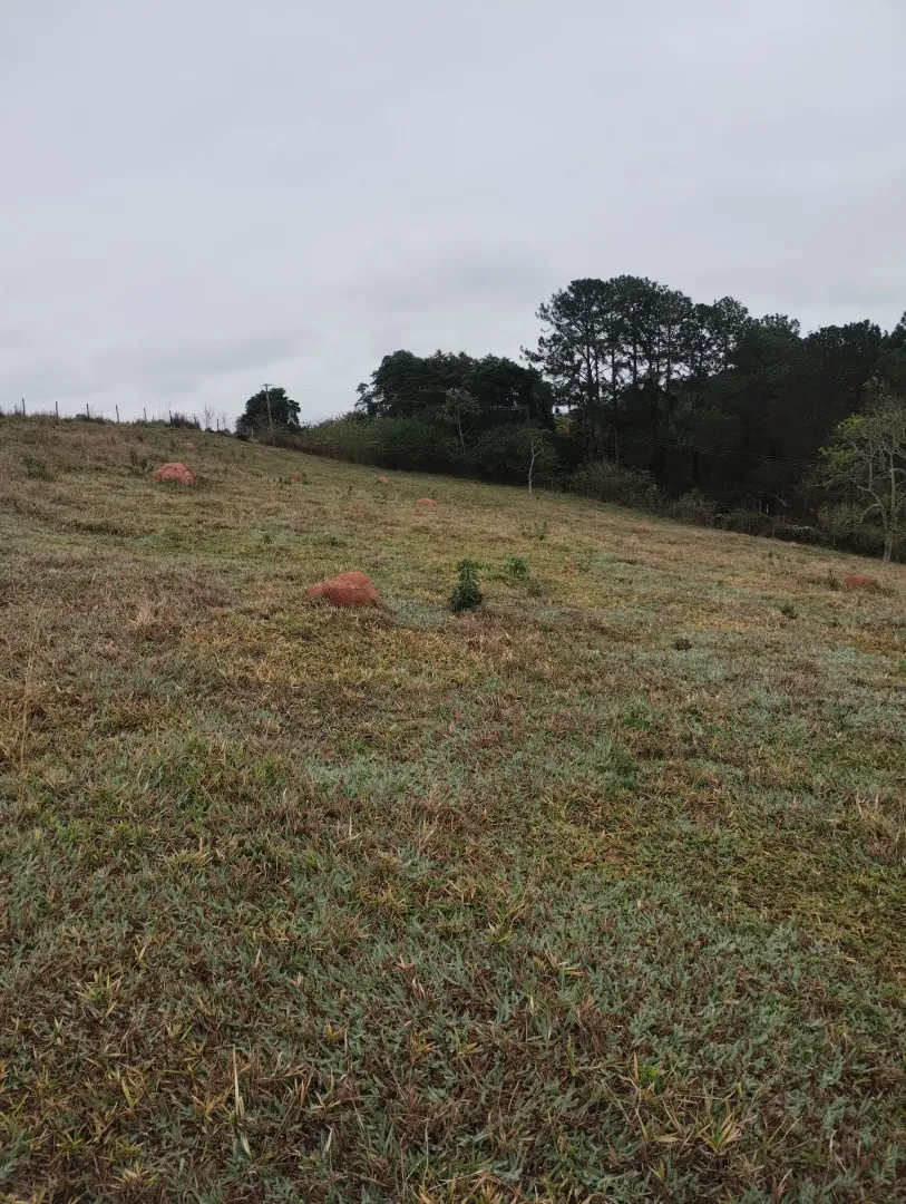 Terreno com boa topografia &agrave; venda no bairro do Pinhal  Jacareí - 