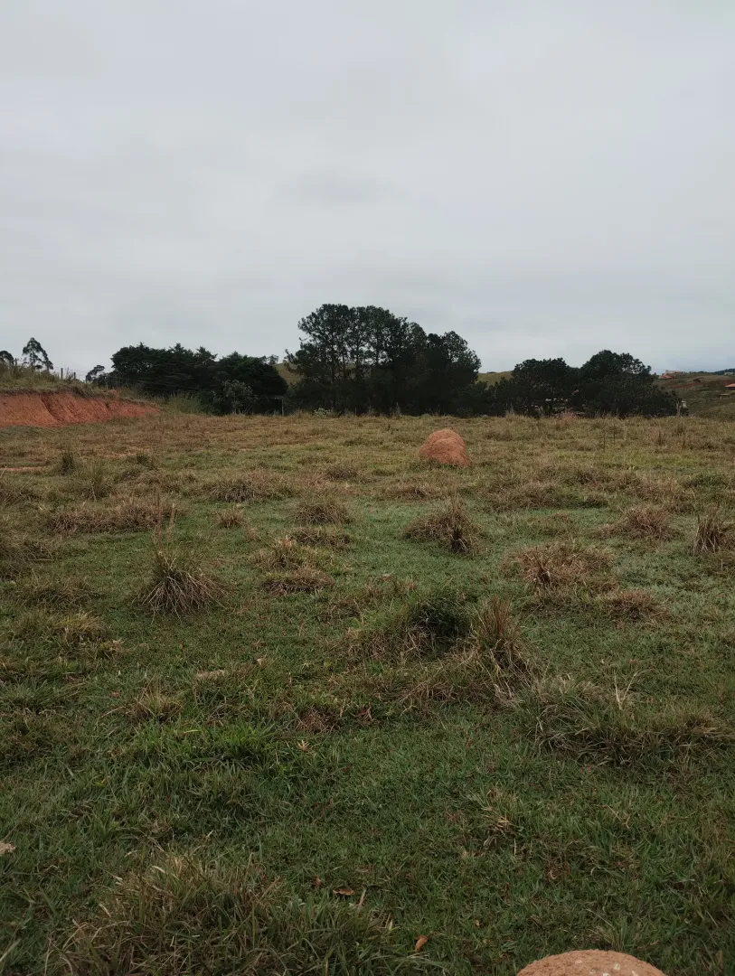 Terreno com boa topografia &agrave; venda no bairro do Pinhal  Jacareí - 