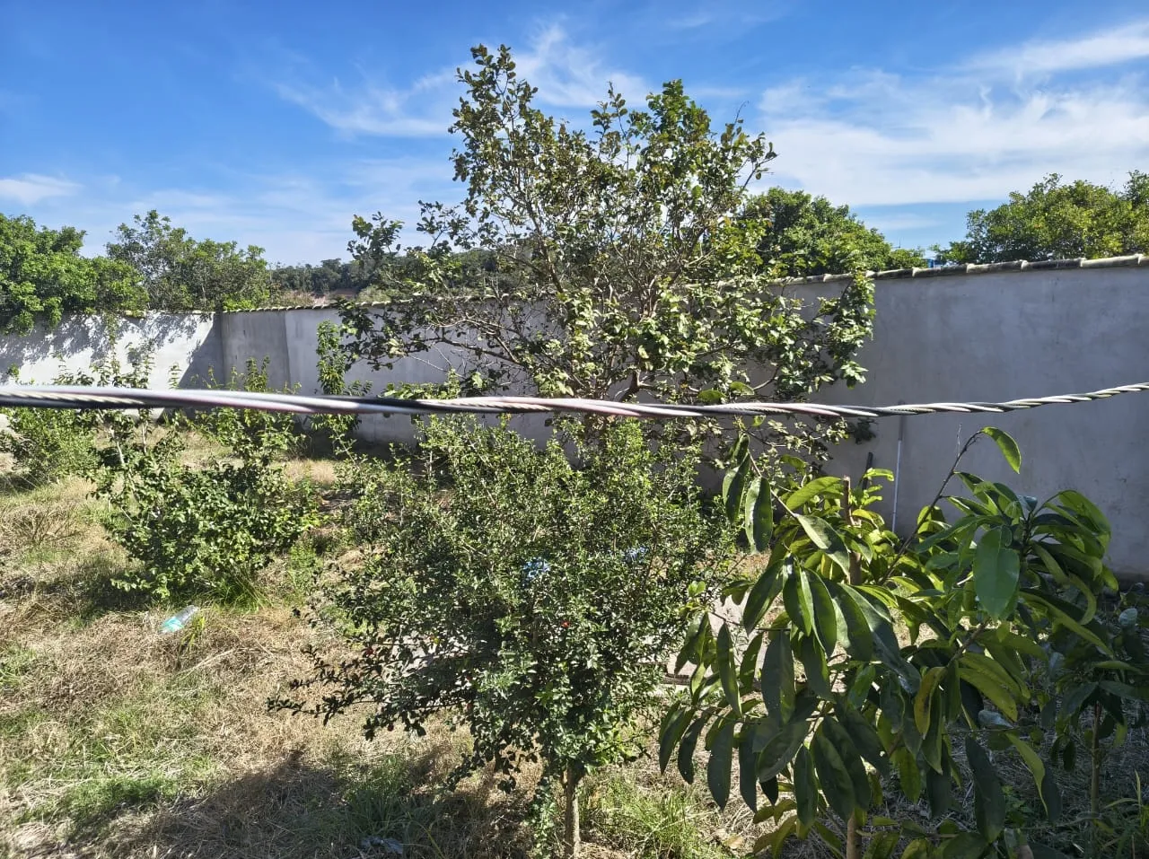 Terreno &agrave; Venda em Tamoios &ndash; Trevo de B&uacute;zios Rua dos Robalos Cabo Frio - 
