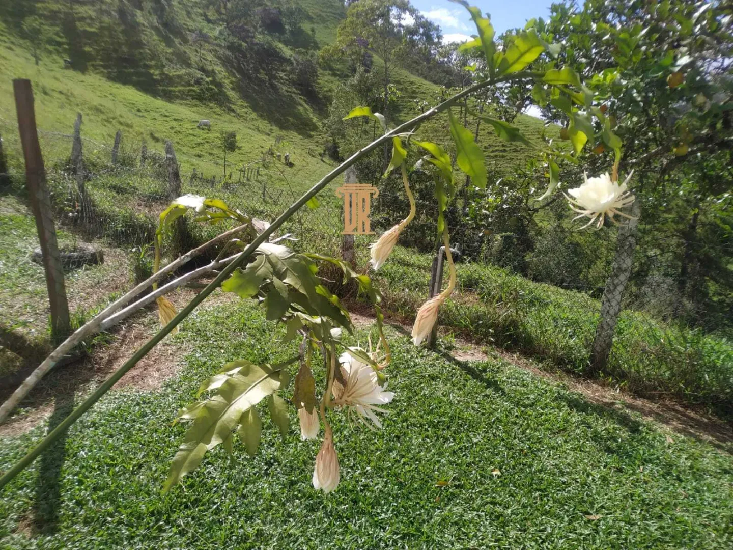 S&Iacute;TIO COM 57 HECTARES EM S&Atilde;O JOS&Eacute; DOS CAMPOS &ndash; SP  São José dos Campos - 