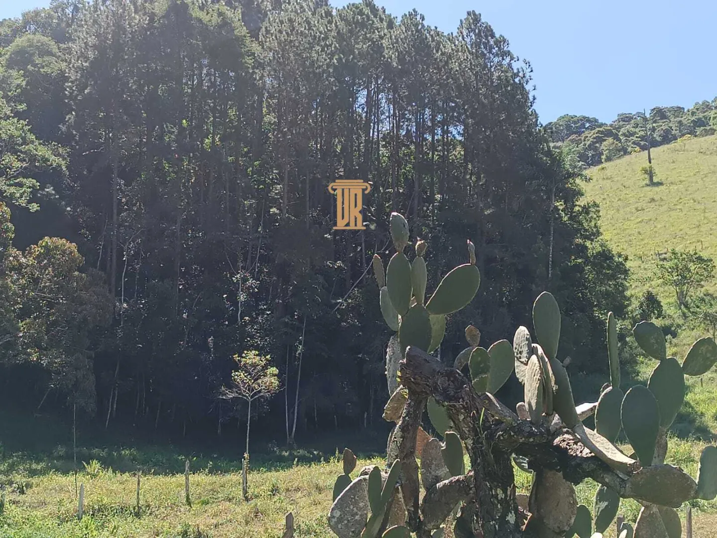 S&Iacute;TIO COM 57 HECTARES EM S&Atilde;O JOS&Eacute; DOS CAMPOS &ndash; SP  São José dos Campos - 