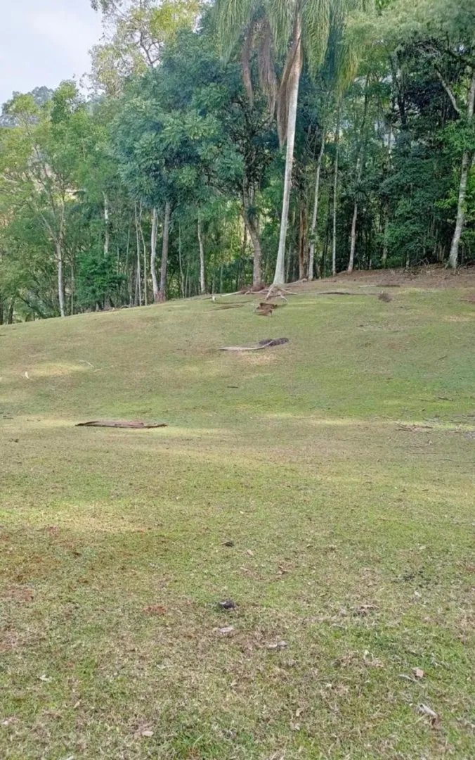 Sitio 23.000 metros, Rodeio 12  Rodeio - 