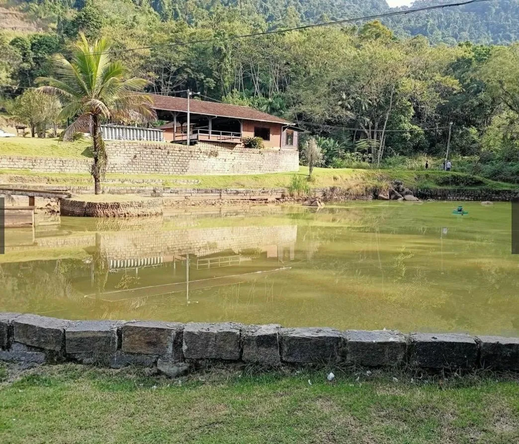 Sitio 23.000 metros, Rodeio 12  Rodeio - 