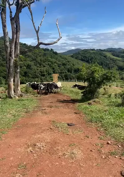 S&Iacute;TIO COM 30 HECTARES EM CONCEI&Ccedil;&Atilde;O DO RIO VERDE &ndash; MG  Conceição do Rio Verde - 