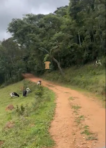 S&Iacute;TIO COM 30 HECTARES EM CONCEI&Ccedil;&Atilde;O DO RIO VERDE &ndash; MG  Conceição do Rio Verde - 