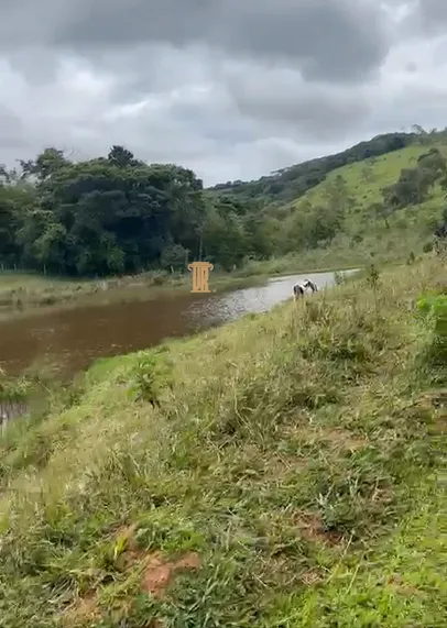 S&Iacute;TIO COM 30 HECTARES EM CONCEI&Ccedil;&Atilde;O DO RIO VERDE &ndash; MG  Conceição do Rio Verde - 