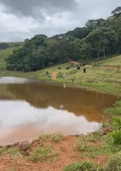 S&Iacute;TIO COM 30 HECTARES EM CONCEI&Ccedil;&Atilde;O DO RIO VERDE &ndash; MG  Conceição do Rio Verde - 