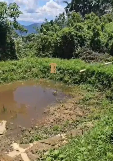S&Iacute;TIO DE 186.000M&sup2; EM CUNHA-SP  Cunha - 