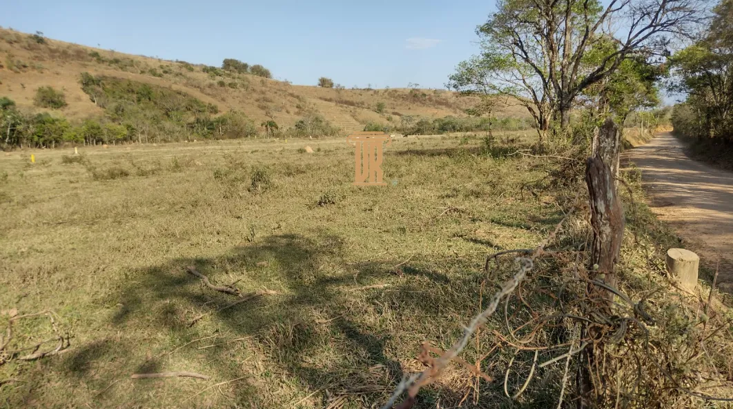 FAZENDA DE 52 ALQUEIRES EM ROSEIRA- SP  Roseira - 