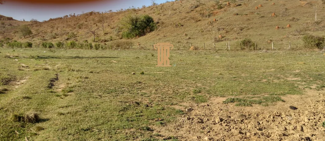 FAZENDA DE 52 ALQUEIRES EM ROSEIRA- SP  Roseira - 