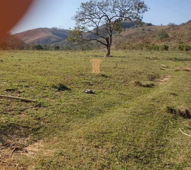 FAZENDA DE 52 ALQUEIRES EM ROSEIRA- SP  Roseira - 