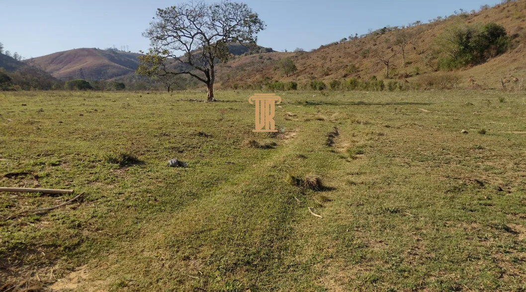 FAZENDA DE 52 ALQUEIRES EM ROSEIRA- SP  Roseira - 
