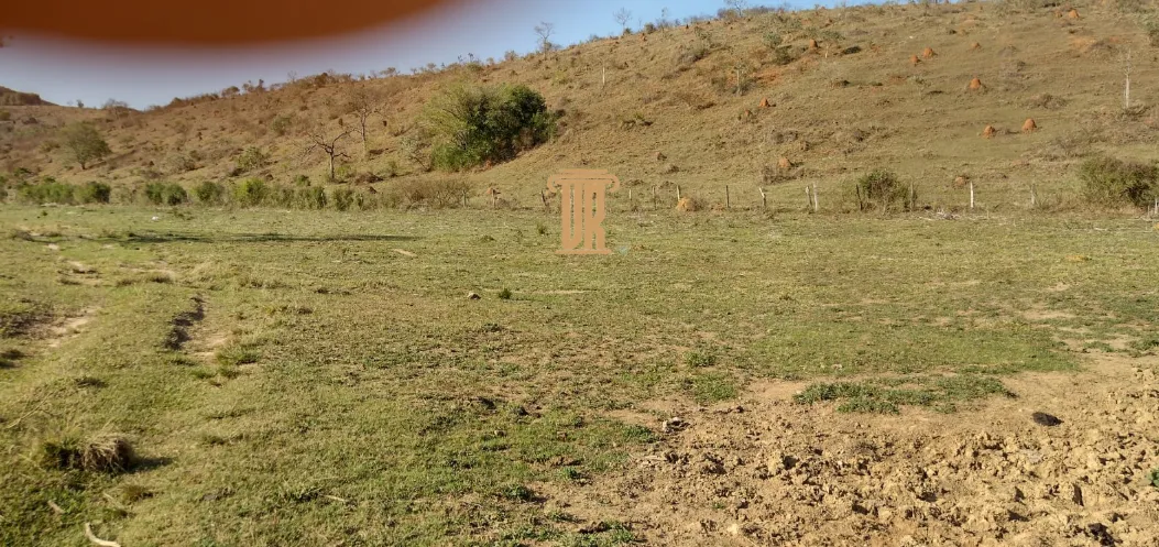 FAZENDA DE 52 ALQUEIRES EM ROSEIRA- SP  Roseira - 