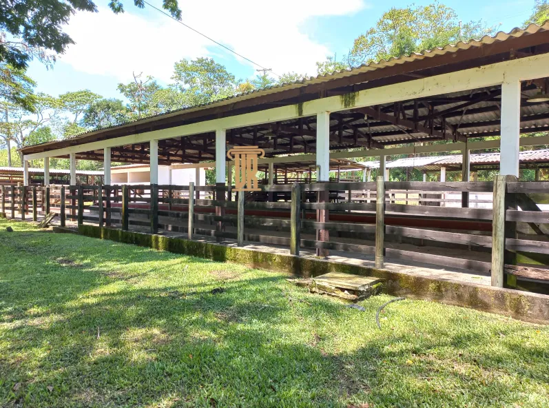 FAZENDA COM 80 ALQUEIRES EM REDEN&Ccedil;&Atilde;O DA SERRA &ndash; SP  Redenção da Serra - 