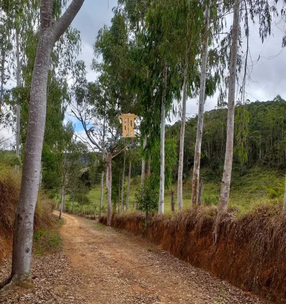 FAZENDA COM 80 ALQUEIRES EM REDEN&Ccedil;&Atilde;O DA SERRA &ndash; SP  Redenção da Serra - 