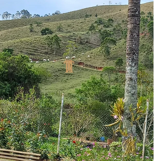 FAZENDA COM 80 ALQUEIRES EM REDEN&Ccedil;&Atilde;O DA SERRA &ndash; SP  Redenção da Serra - 