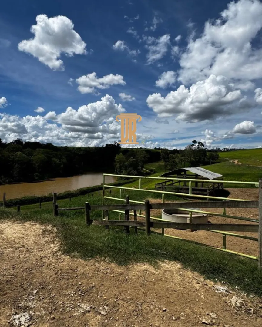 FAZENDA DE 40 ALQUEIRES A  VENDA &ndash; PORTO FELIZ/SP  Porto Feliz - 