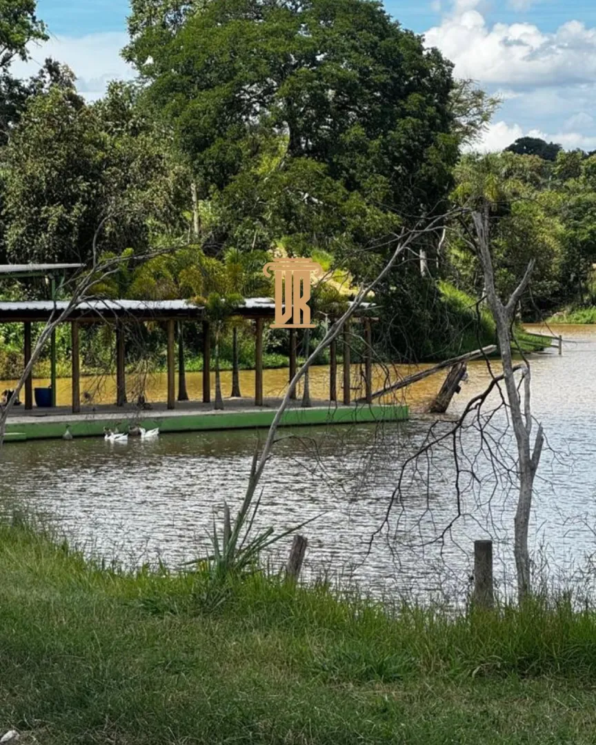 FAZENDA DE 40 ALQUEIRES A  VENDA &ndash; PORTO FELIZ/SP  Porto Feliz - 