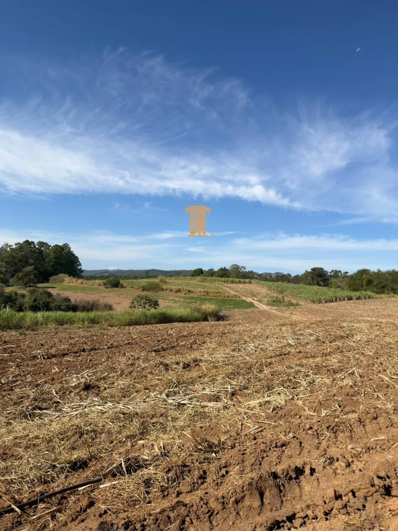 FAZENDA DE 51 ALQUEIRES EM CA&Ccedil;APAVA  Caçapava - 
